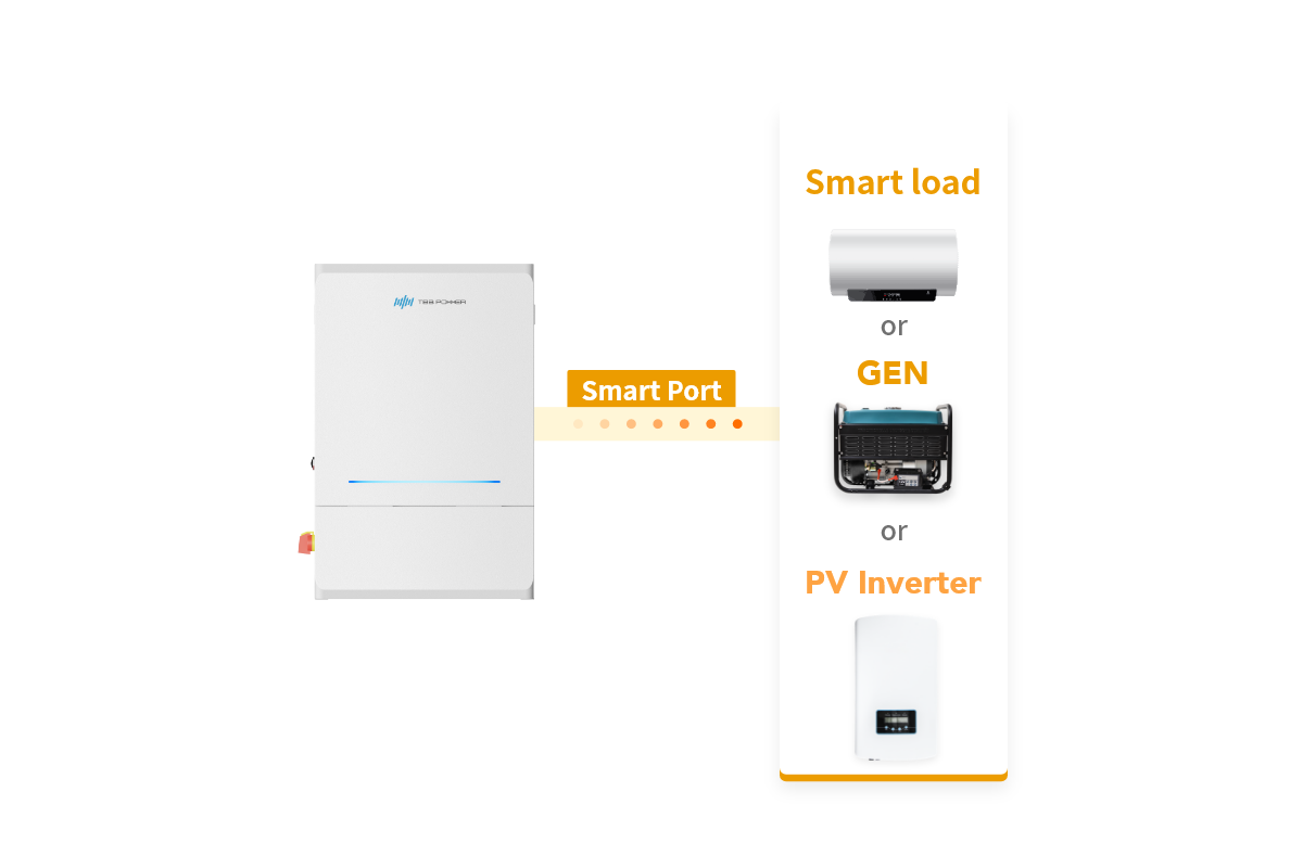 One Programmable Smart Port